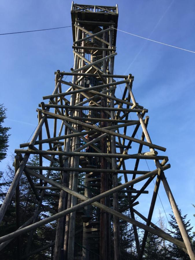 Gite Les Dryades Gérardmer Eksteriør bilde