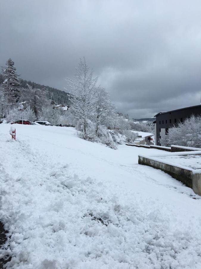 Gite Les Dryades Gérardmer Eksteriør bilde