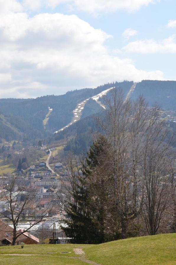 Gite Les Dryades Gérardmer Eksteriør bilde